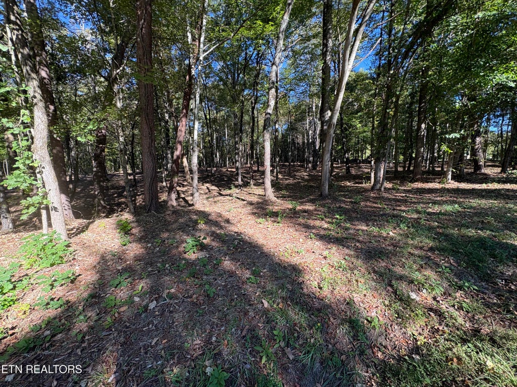 Photo of 0 Town Creek Rd, Lenoir City, TN 37772 (MLS # 1359487)