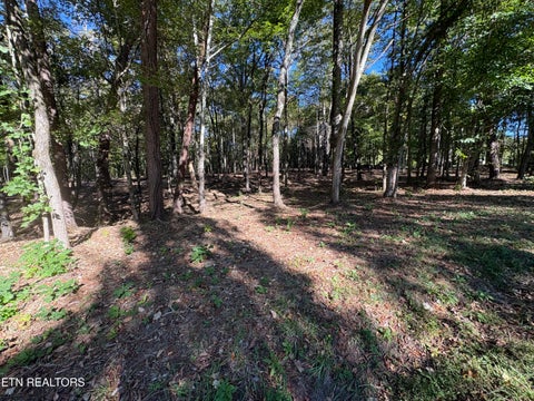 Photo of 0 Town Creek Rd, Lenoir City, TN 37772 (MLS # 1359487)