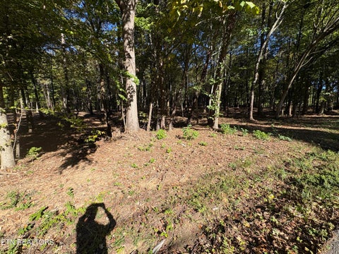 Tiny photo for 0 Town Creek Rd, Lenoir City, TN 37772 (MLS # 1359487)