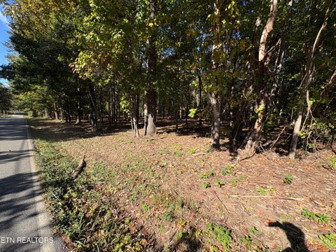 Tiny photo for 0 Town Creek Rd, Lenoir City, TN 37772 (MLS # 1359487)
