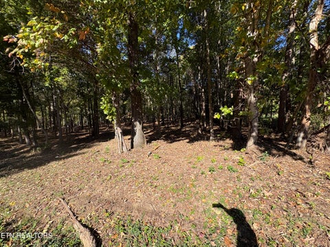 Tiny photo for 0 Town Creek Rd, Lenoir City, TN 37772 (MLS # 1359487)