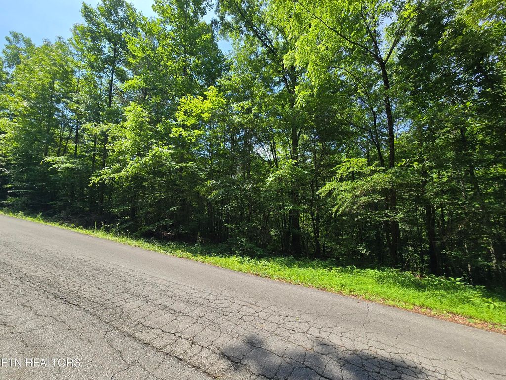 Photo of 0 Orchard View Rd, Oliver Springs, TN 37840 (MLS # 1304436)