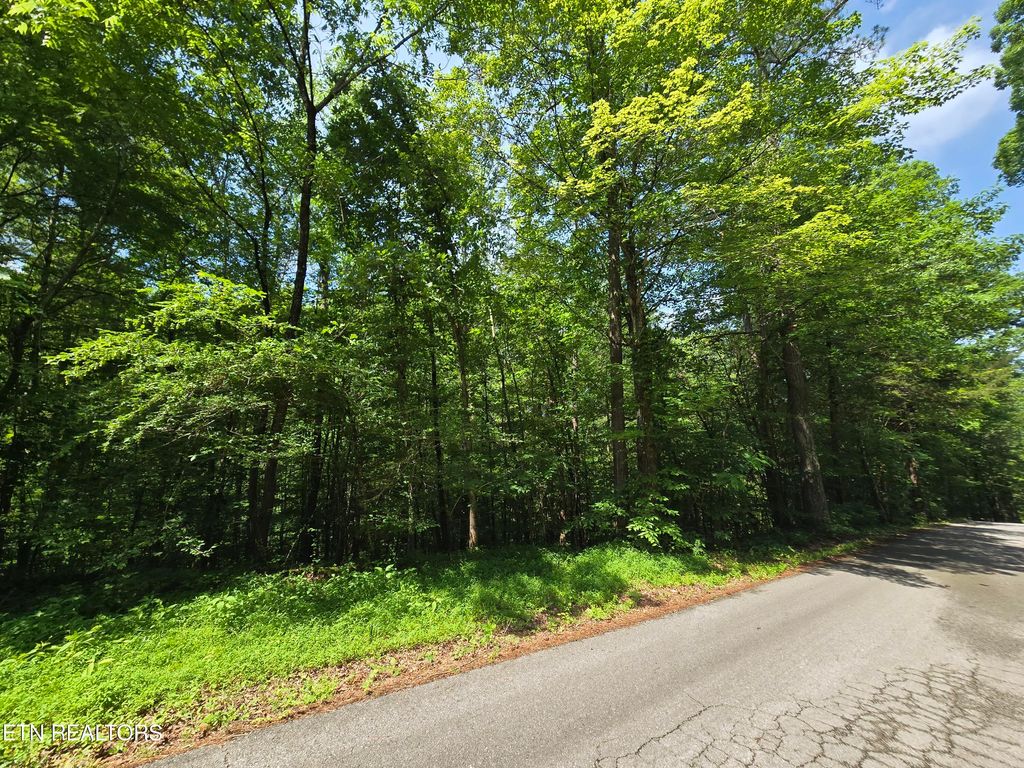 Photo of 0 Orchard View Rd, Oliver Springs, TN 37840 (MLS # 1304436)