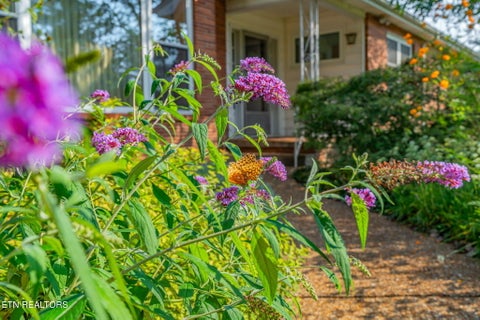 Tiny photo for 4400 Clinch View Lane, Knoxville, TN 37931 (MLS # 1355804)
