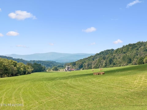 Tiny photo for 315 Miller Hollow Lane, Rocky Top, TN 37769 (MLS # 1358180)