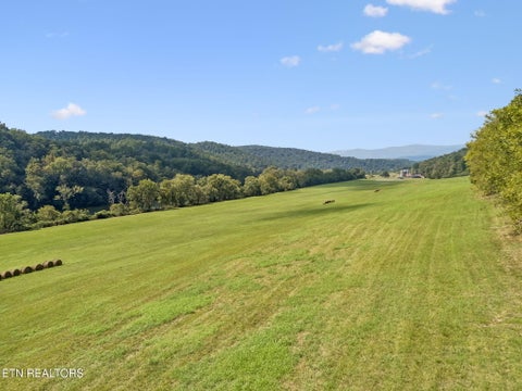 Tiny photo for 315 Miller Hollow Lane, Rocky Top, TN 37769 (MLS # 1358180)