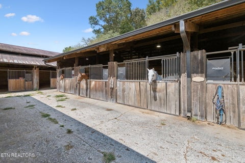 Tiny photo for 315 Miller Hollow Lane, Rocky Top, TN 37769 (MLS # 1358180)