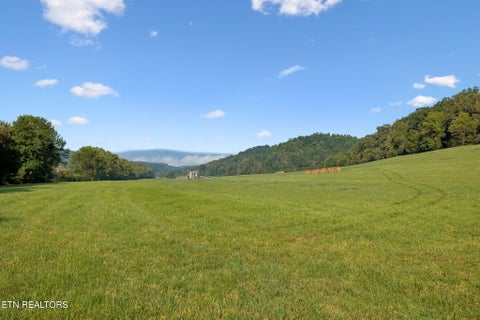 Tiny photo for 315 Miller Hollow Lane, Rocky Top, TN 37769 (MLS # 1358180)