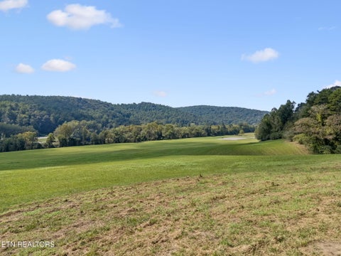 Tiny photo for 315 Miller Hollow Lane, Rocky Top, TN 37769 (MLS # 1358180)