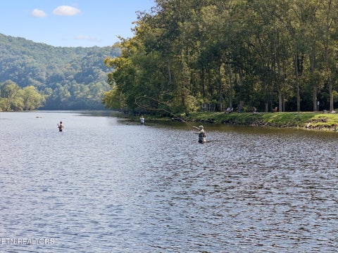 Tiny photo for 315 Miller Hollow Lane, Rocky Top, TN 37769 (MLS # 1358180)