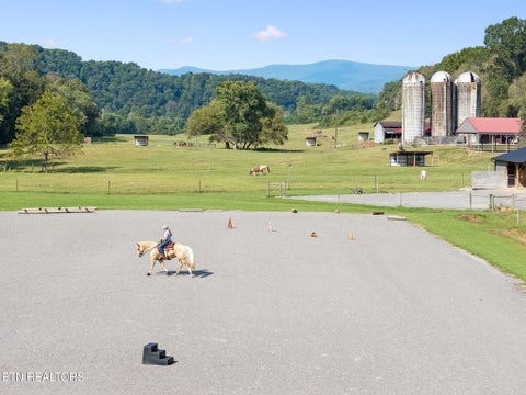 Tiny photo for 315 Miller Hollow Lane, Rocky Top, TN 37769 (MLS # 1358180)
