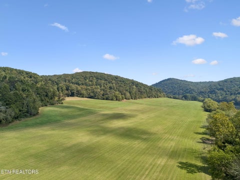 Tiny photo for 315 Miller Hollow Lane, Rocky Top, TN 37769 (MLS # 1358180)
