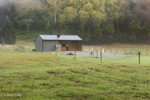 Tiny photo for 315 Miller Hollow Lane, Rocky Top, TN 37769 (MLS # 1358180)