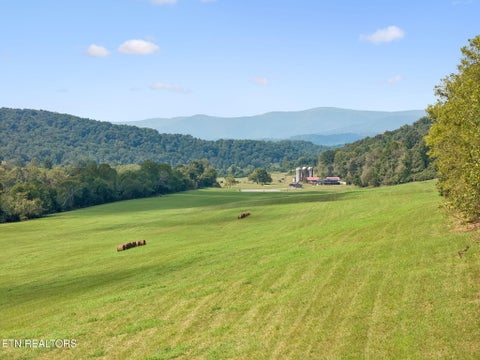 Tiny photo for 315 Miller Hollow Lane, Rocky Top, TN 37769 (MLS # 1358180)