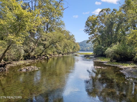 Tiny photo for 315 Miller Hollow Lane, Rocky Top, TN 37769 (MLS # 1358180)