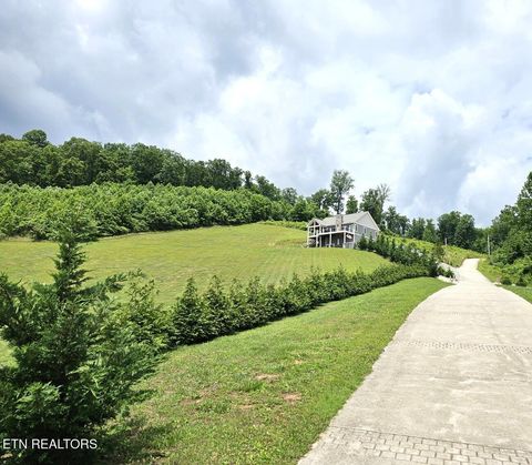 Tiny photo for 301 Mountain Way, Sharps Chapel, TN 37866 (MLS # 1342992)