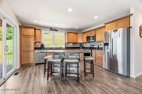 Tiny photo for 301 Mountain Way, Sharps Chapel, TN 37866 (MLS # 1342992)