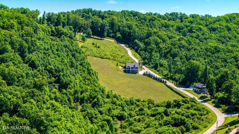 Tiny photo for 301 Mountain Way, Sharps Chapel, TN 37866 (MLS # 1342992)