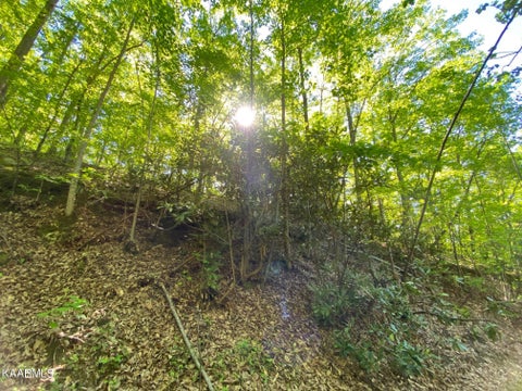 Featured picture for the property 1192000