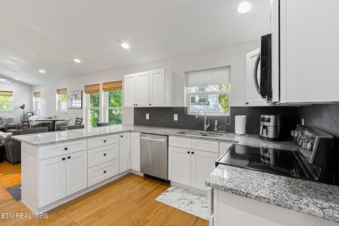 Tiny photo for 2029 E 5Th Ave, Knoxville, TN 37917 (MLS # 1340385)
