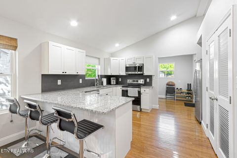 Tiny photo for 2029 E 5Th Ave, Knoxville, TN 37917 (MLS # 1340385)