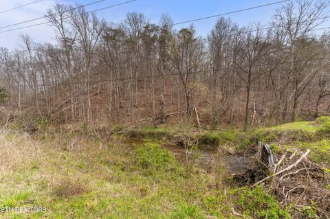 Tiny photo for Ailor Gap Rd, Maynardville, TN 37807 (MLS # 1333945)