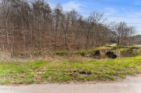 Tiny photo for Ailor Gap Rd, Maynardville, TN 37807 (MLS # 1333945)