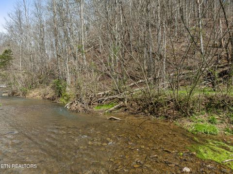 Tiny photo for Ailor Gap Rd, Maynardville, TN 37807 (MLS # 1333945)