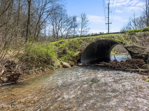 Tiny photo for Ailor Gap Rd, Maynardville, TN 37807 (MLS # 1333945)