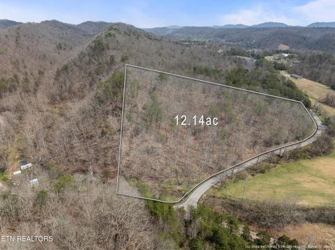 Tiny photo for Ailor Gap Rd, Maynardville, TN 37807 (MLS # 1333945)