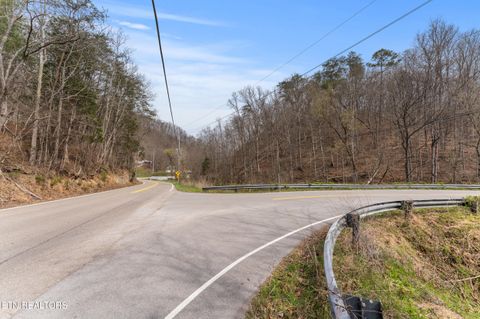 Tiny photo for Ailor Gap Rd, Maynardville, TN 37807 (MLS # 1333945)