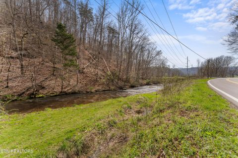 Tiny photo for Ailor Gap Rd, Maynardville, TN 37807 (MLS # 1333945)