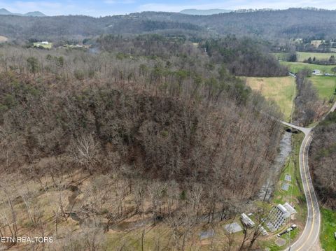 Tiny photo for Ailor Gap Rd, Maynardville, TN 37807 (MLS # 1333945)