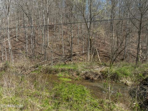 Tiny photo for Ailor Gap Rd, Maynardville, TN 37807 (MLS # 1333945)