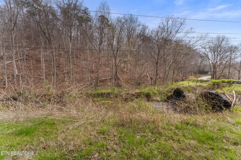 Tiny photo for Ailor Gap Rd, Maynardville, TN 37807 (MLS # 1333945)
