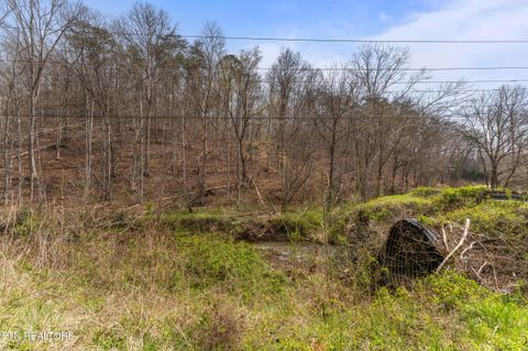 Tiny photo for Ailor Gap Rd, Maynardville, TN 37807 (MLS # 1333945)