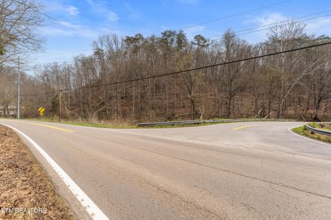 Tiny photo for Ailor Gap Rd, Maynardville, TN 37807 (MLS # 1333945)