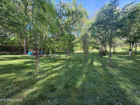 Tiny photo for 238 Forest Hills Drive #238, New Tazewell, TN 37825 (MLS # 1348392)