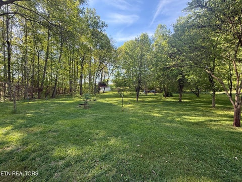 Tiny photo for 238 Forest Hills Drive #238, New Tazewell, TN 37825 (MLS # 1348392)