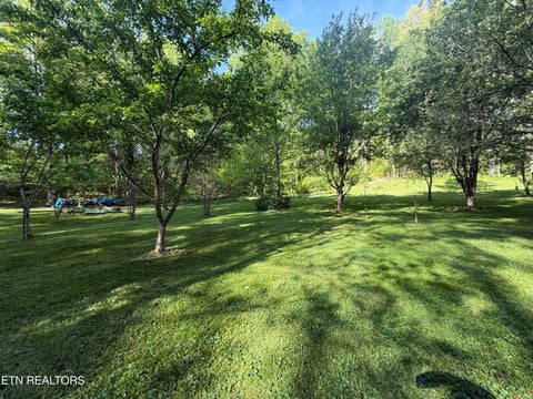 Tiny photo for 238 Forest Hills Drive #238, New Tazewell, TN 37825 (MLS # 1348392)