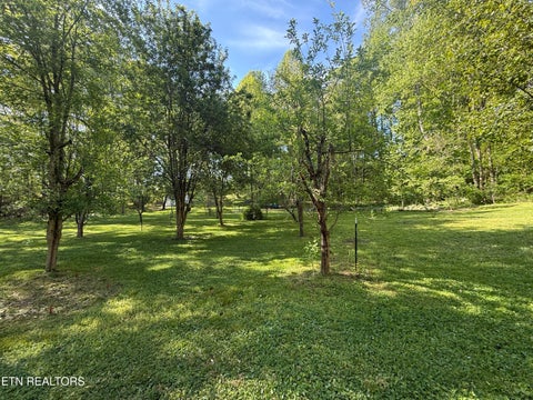 Tiny photo for 238 Forest Hills Drive #238, New Tazewell, TN 37825 (MLS # 1348392)