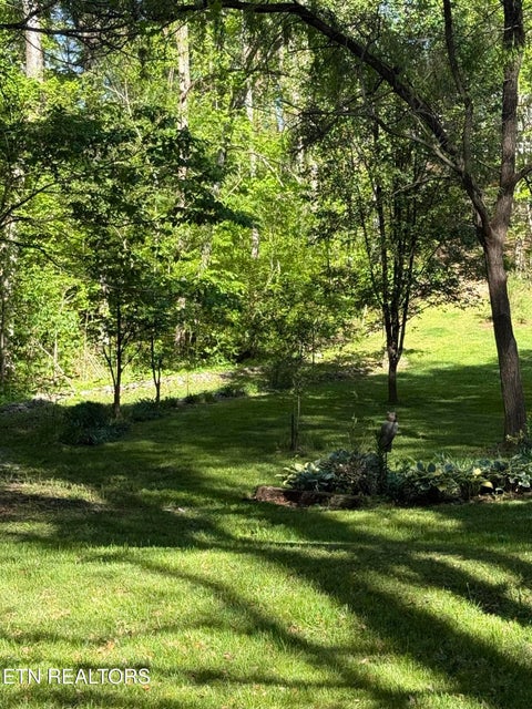Tiny photo for 238 Forest Hills Drive #238, New Tazewell, TN 37825 (MLS # 1348392)