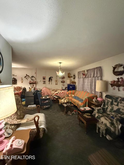 Tiny photo for 238 Forest Hills Drive #238, New Tazewell, TN 37825 (MLS # 1348392)
