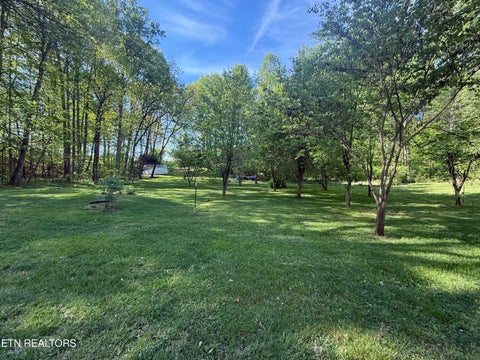Tiny photo for 238 Forest Hills Drive #238, New Tazewell, TN 37825 (MLS # 1348392)