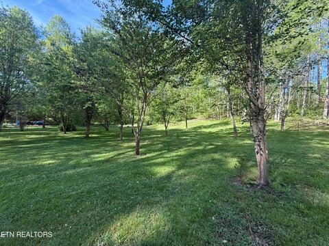Tiny photo for 238 Forest Hills Drive #238, New Tazewell, TN 37825 (MLS # 1348392)
