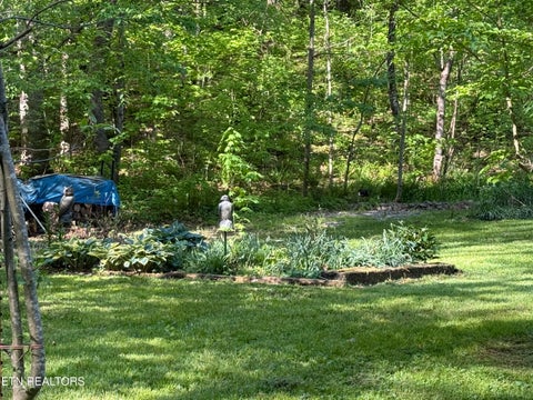 Tiny photo for 238 Forest Hills Drive #238, New Tazewell, TN 37825 (MLS # 1348392)