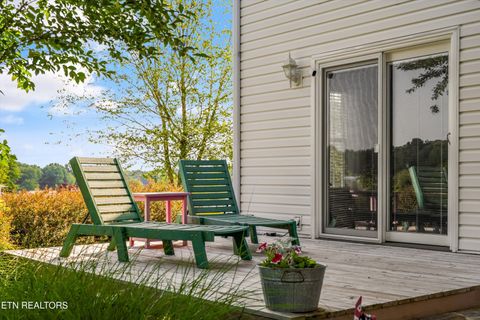 Tiny photo for 1167 Sable Rd, Spring City, TN 37381 (MLS # 1340739)