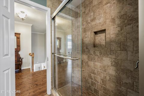 Tiny photo for 1167 Sable Rd, Spring City, TN 37381 (MLS # 1340739)