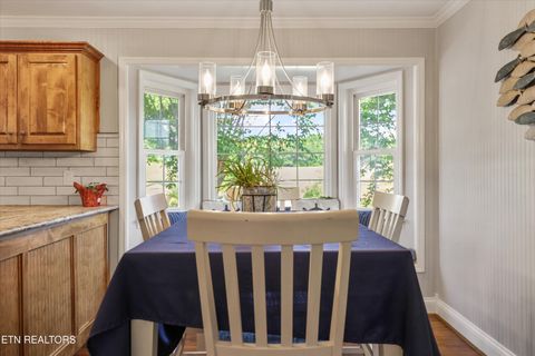 Tiny photo for 1167 Sable Rd, Spring City, TN 37381 (MLS # 1340739)