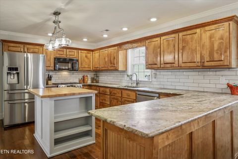 Tiny photo for 1167 Sable Rd, Spring City, TN 37381 (MLS # 1340739)